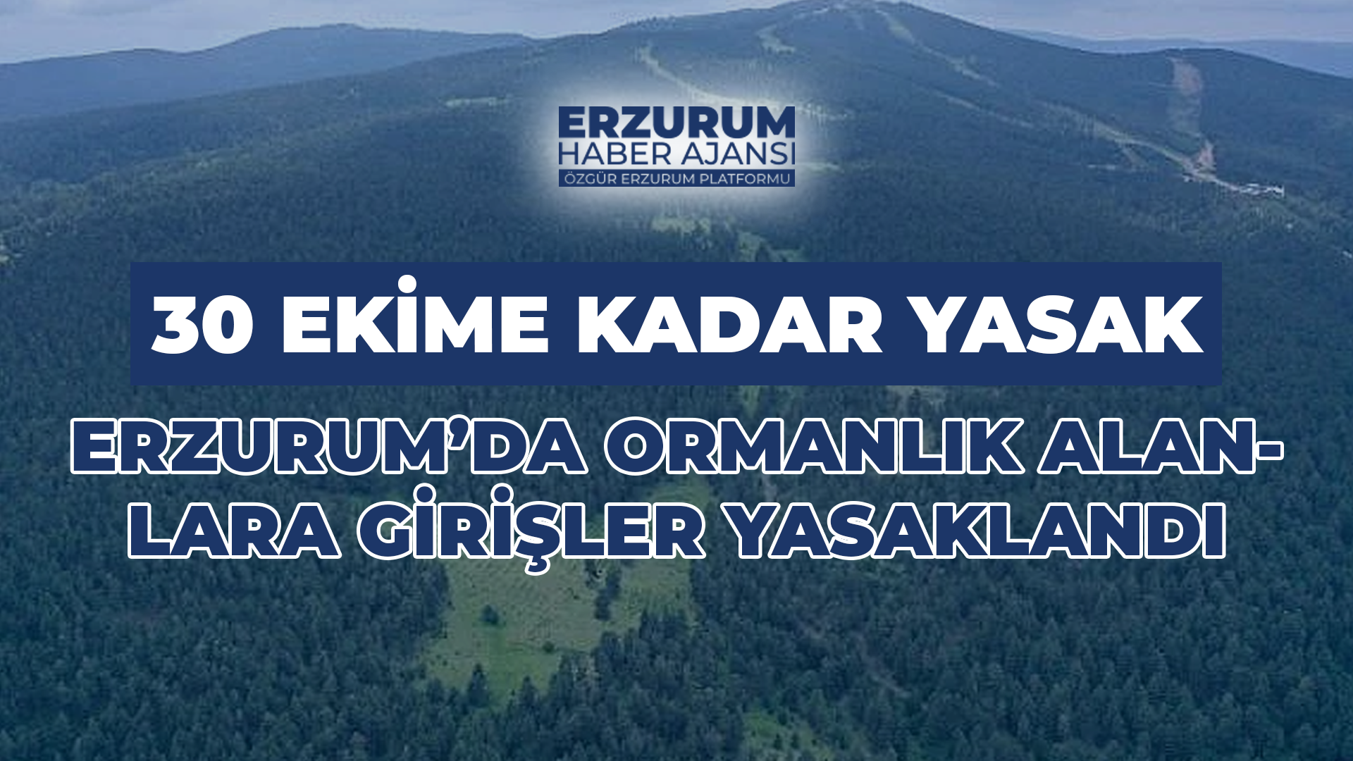 Erzurum'da Ormanlık Alanlara Girişler 30 Ekim’e Kadar Yasaklandı