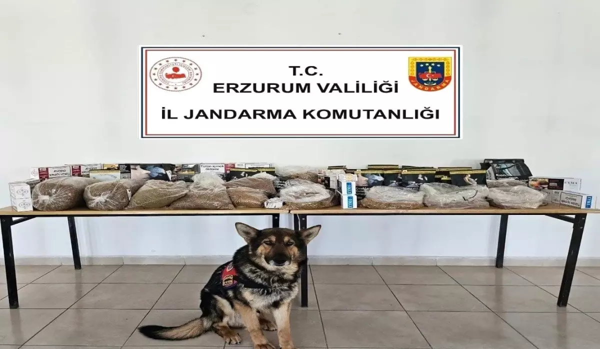 Erzurum'da Kaçakçılara Jandarma Darbesi